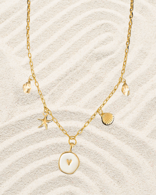 🐚 Collier Seashell