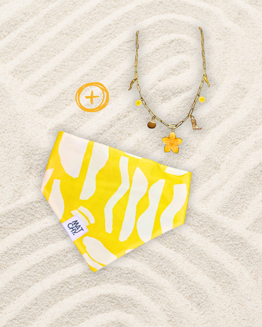Pack collier Matchy - Le Positano 🍋