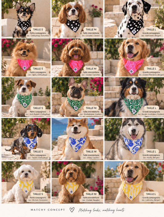 Bandana - Collection Été 2026 ☀️